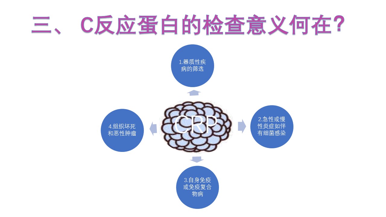 幻灯片6.JPG